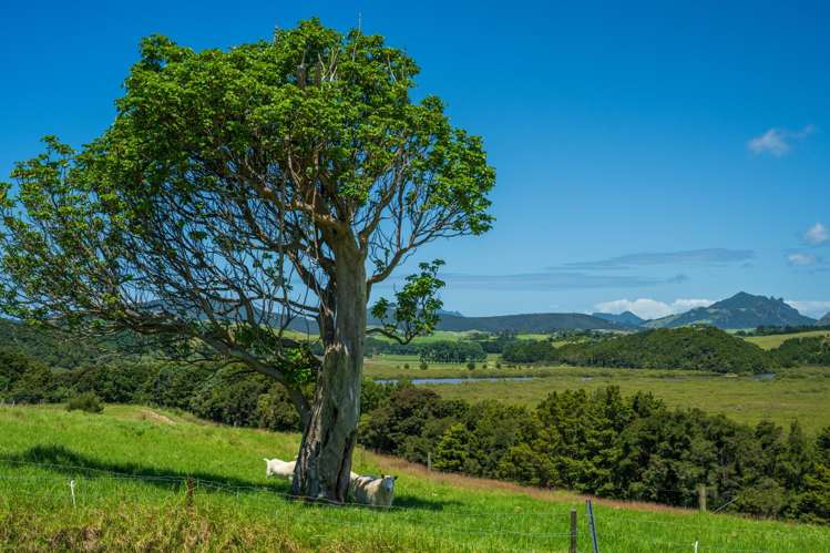 110 Mornington Way Parua Bay_24