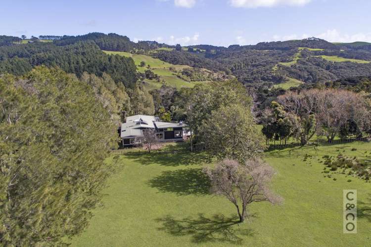 353 Taylor Road Helensville_22