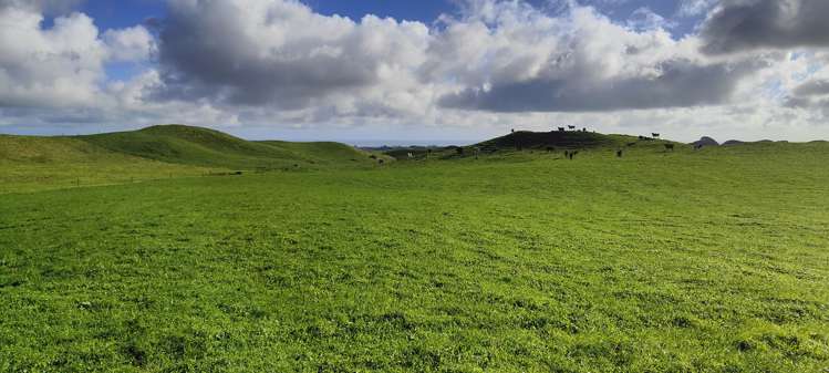 Parihaka Road Pungarehu_17