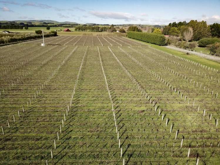 413a Lake Ferry Road Dyerville_5