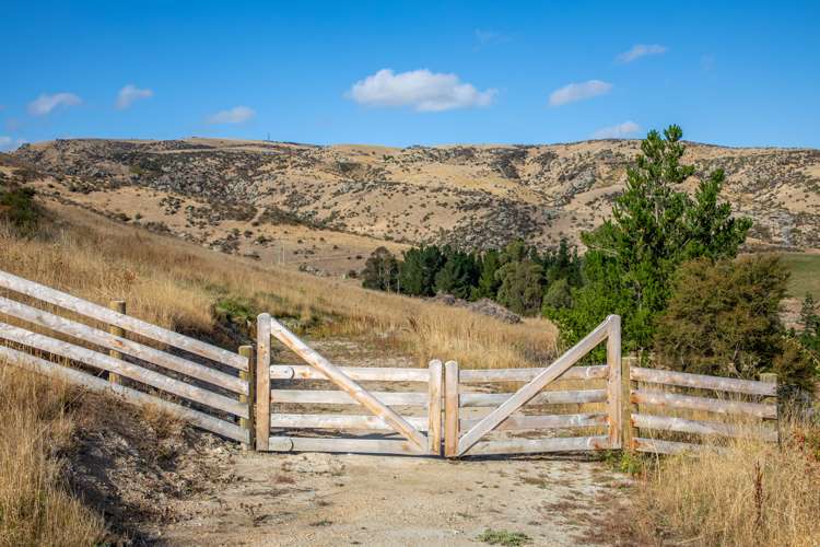 Wright Road Kaka Point_3