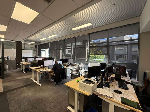 31 Spring Street Freemans Bay_3