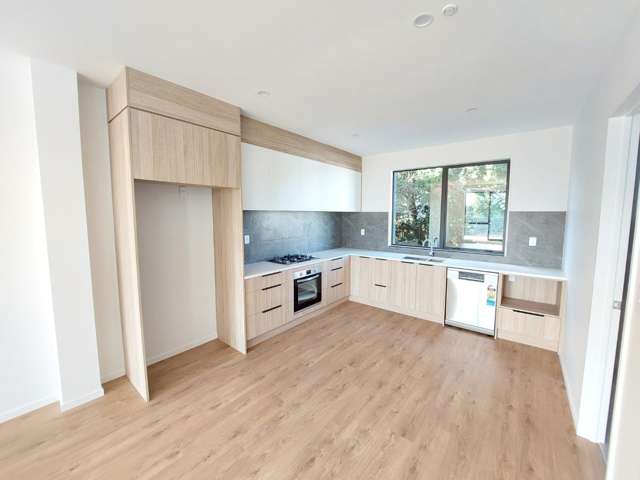 4/11 Sainsbury Road Mount Albert_1