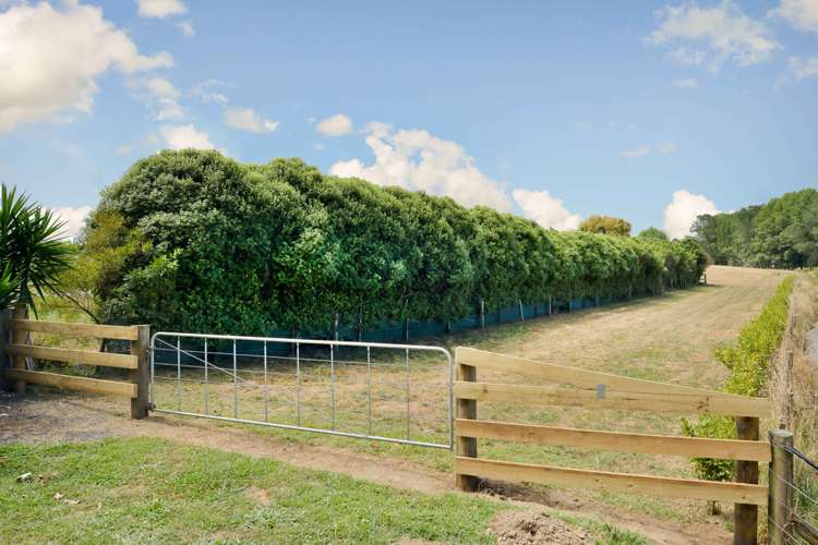 548c Te Kowhai Road Te Kowhai_1