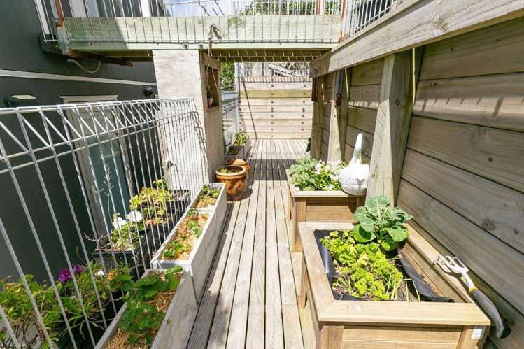 100 Owhiro Bay Parade Owhiro Bay_21