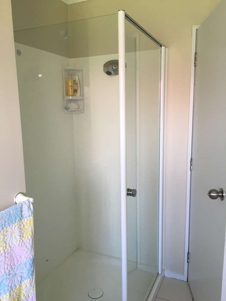 103 Palmers Road Clendon Park_5