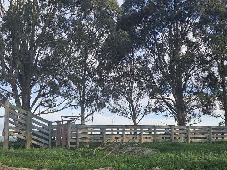 Dunrobin Road Fuchsia Creek_6