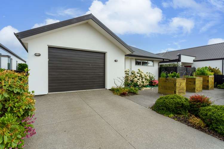 81 Mary Ellen Street Pegasus_15