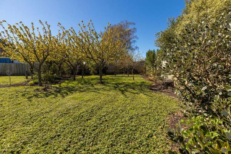 386 Alabama Road Riverlands_9
