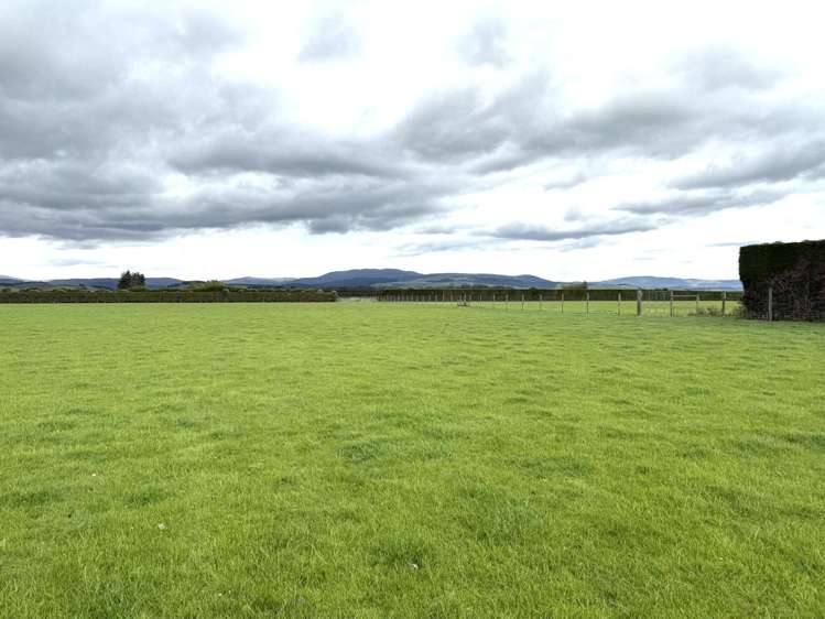 389 Mckenzie Road Browns_11