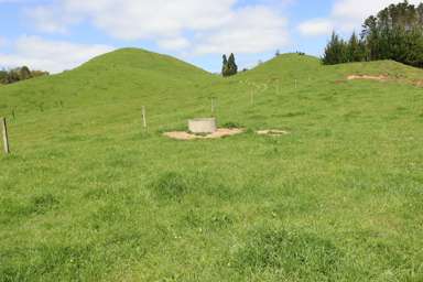 121 Tarata Road_2