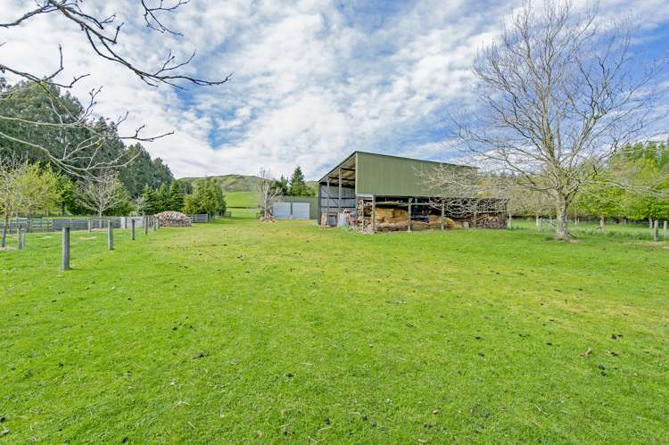 539 Bluff Road Sheffield_25