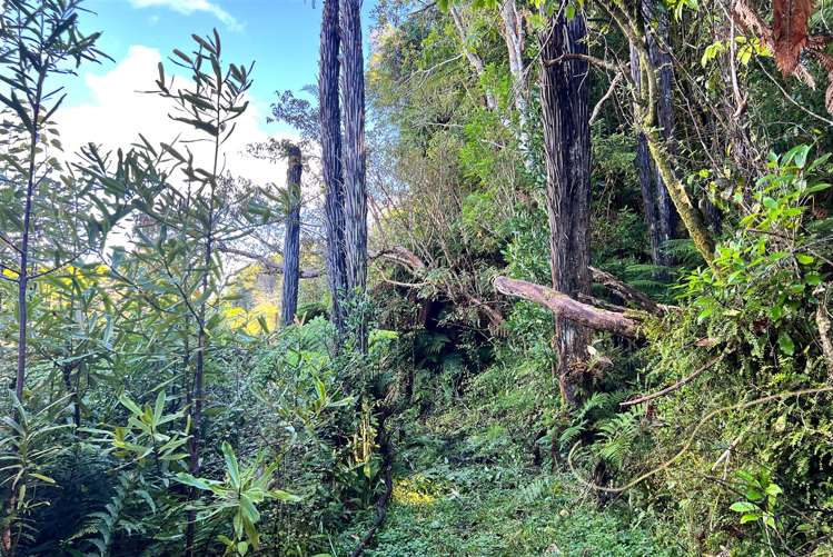 754 Rutherglen Road Rutherglen_16