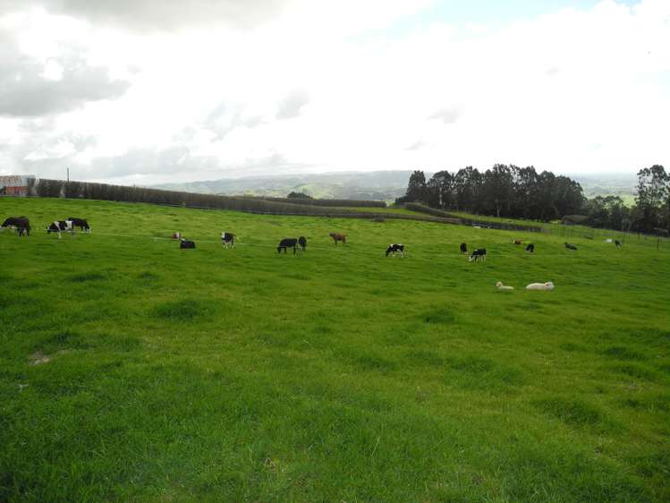 452 Corcoran Road Te Pahu_15