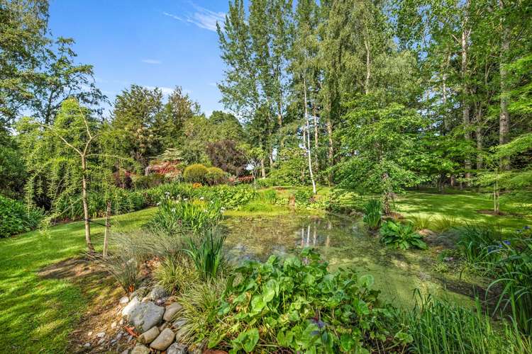 1110 Ashley Gorge Road Glentui_27