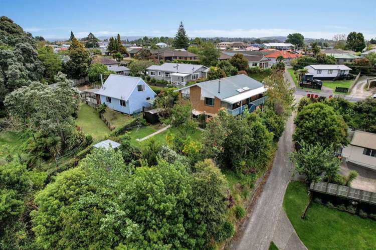 82 Greerton Road Gate Pa_7