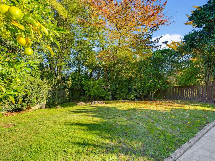 46b Grand Vue Road Kawaha Point_30