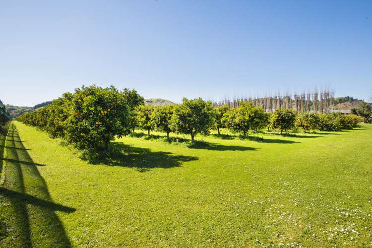 1286 Matawai Road Ormond_2