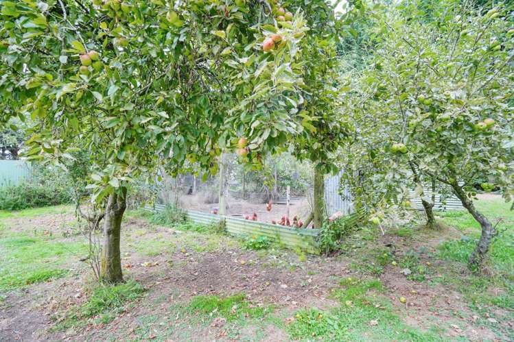 297 Thornbury Waimatuku Road Winton Surrounds_14