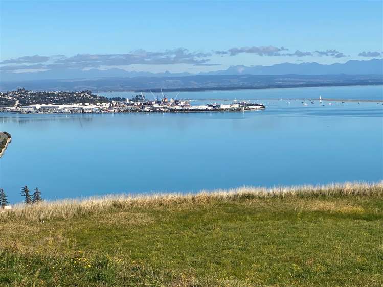 113 Bay View Road Atawhai_1