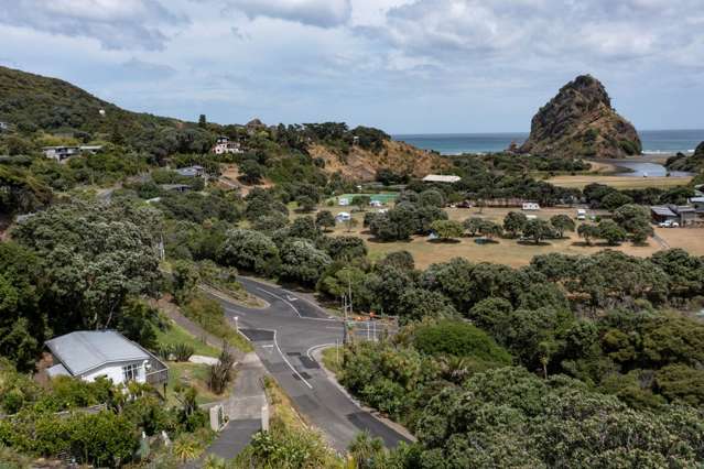 5 Glenesk Road Piha_2