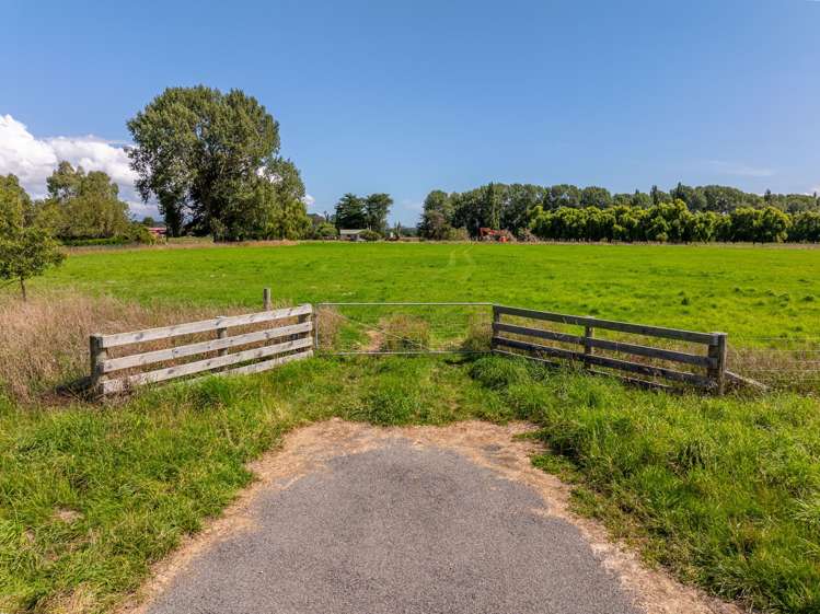 2 Kaitara Park Lane Morison Bush_8