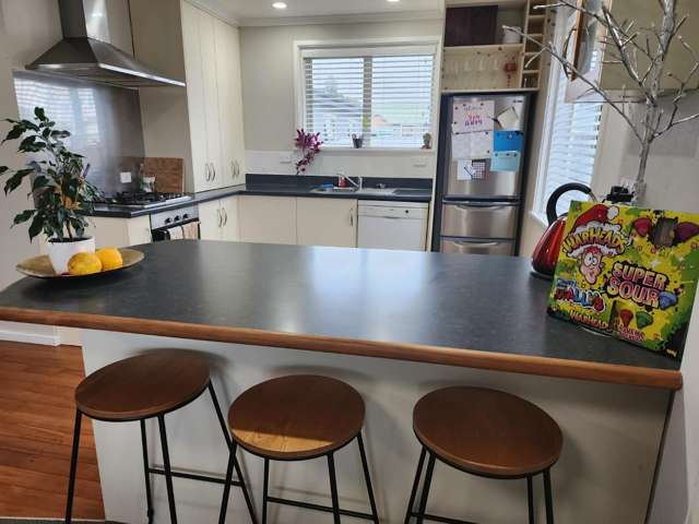 7 Raleigh Street Vogeltown_2