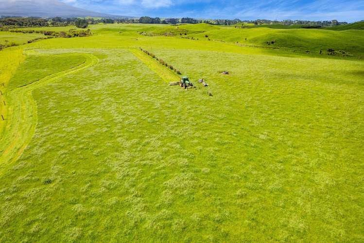 523/593 Warea Road Warea_21