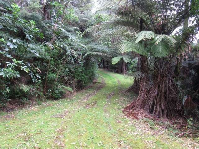 24 Goldfields Road Karangahake_2