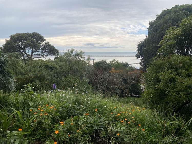 50A Major Hornbrook Road 1491_9