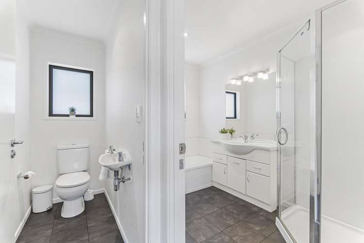 271a Carrington Street Vogeltown_16