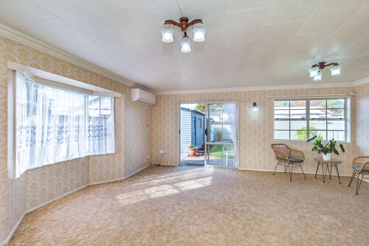 100a Winchester Street Levin_5