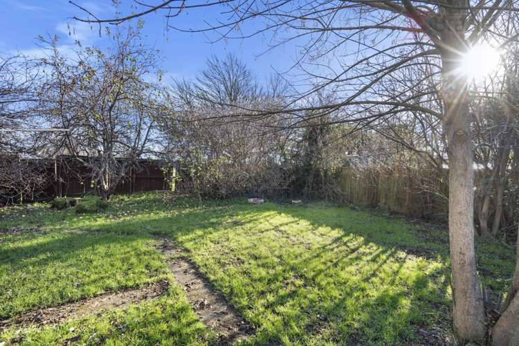 141 Emmett Street Shirley_12