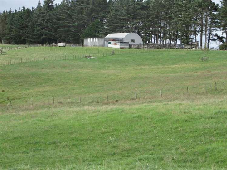 Ovens Road Matakohe_0