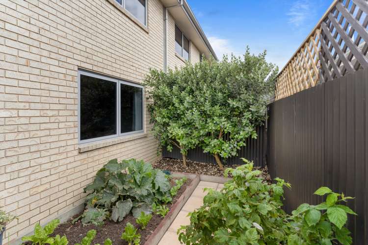 74a Huxley Street Sydenham_18