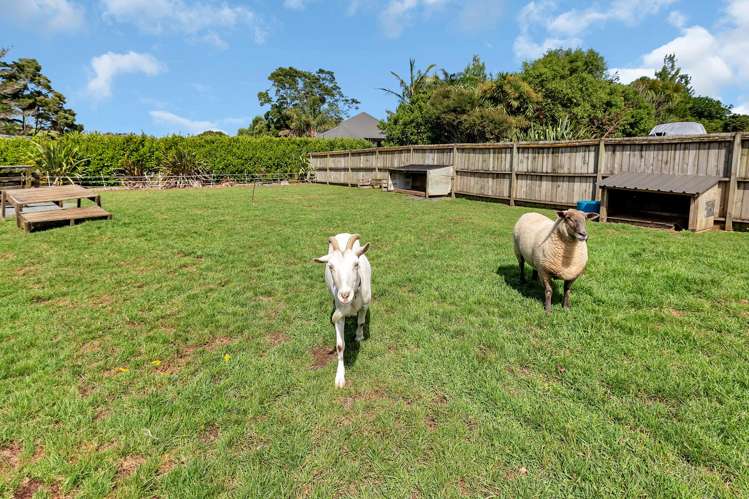 1187 Pipiwai Road Ruatangata_25