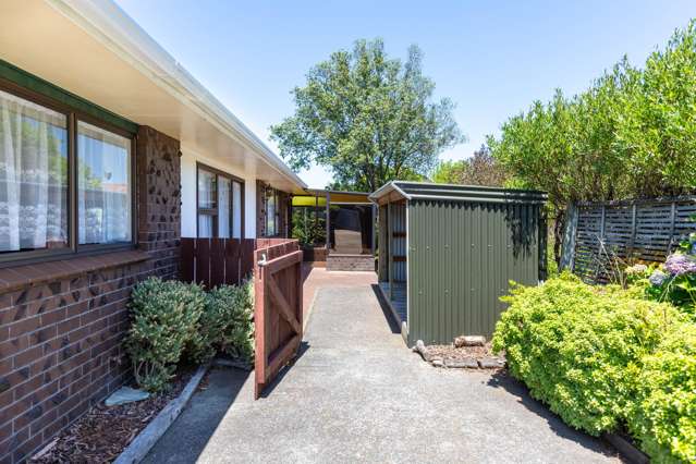 6 Guy Street Dannevirke_1