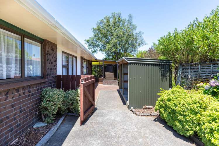 6 Guy Street Dannevirke_1