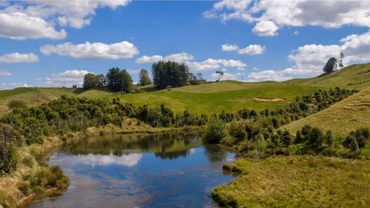 Lot 2/205 Oliver Road Cambridge_13