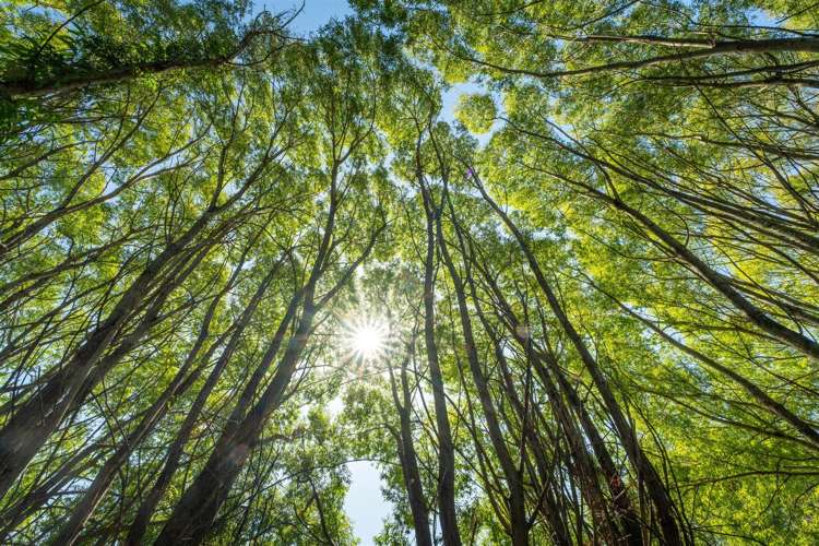 50 Cliff Road Tasman_9