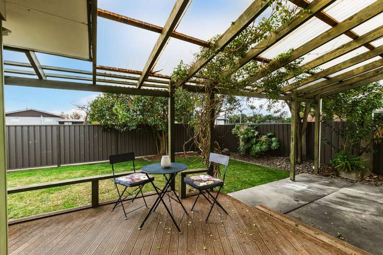 141 Westminster Avenue Tamatea_6
