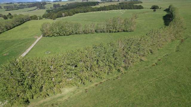 374 Rakauwahia Road Taheke_4