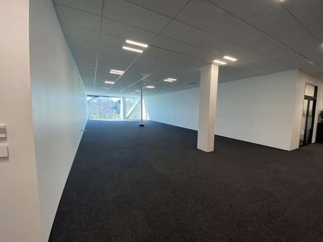 17 Grantham Street Hamilton City Central_2