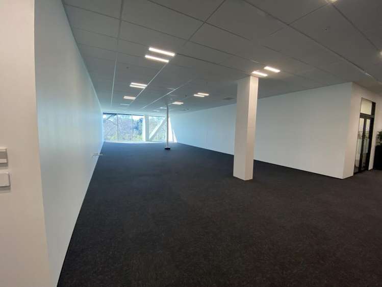 17 Grantham Street Hamilton City Central_2