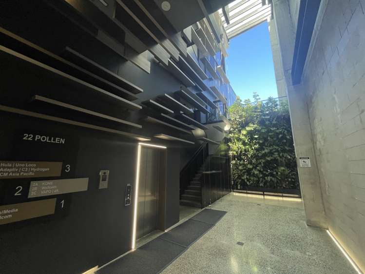 22 Pollen Street Grey Lynn_13