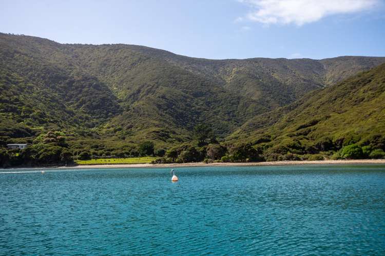 Lot 4 + 5 Te Aroha Bay, Otanerau Bay Marlborough Sounds_66