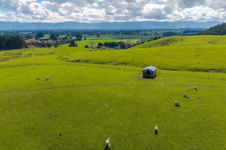 235 Otope Road Dannevirke_27