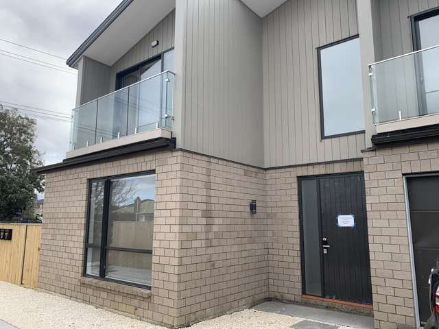 217B St George Street Papatoetoe_1