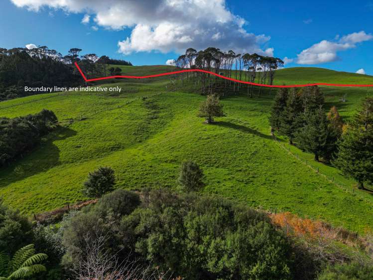 487 Kanohi Road Kaukapakapa_31