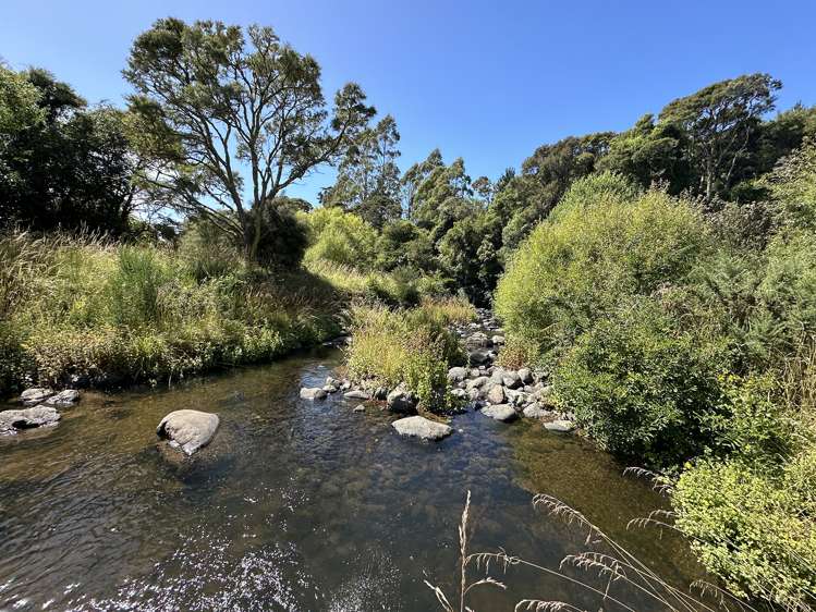 462 Waitati Valley Road Upper Waitati_20
